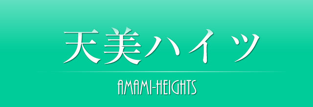 天美ハイツ・天美駅徒歩7分・手数料ゼロ