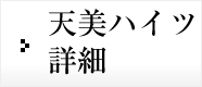天美ハイツ詳細
